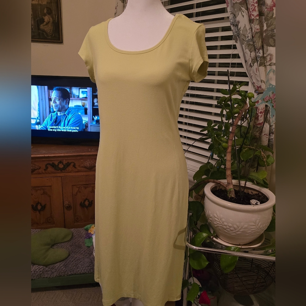 New Green Casual Small Petite Sheath Dress